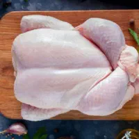 فروش بوقلمون