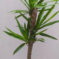 یوکای مقاوم فقط ۳۴۰