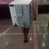 اتو بار آرامش|خدمات حمل و نقل|فردیس, شهرک سپاه|دیوار