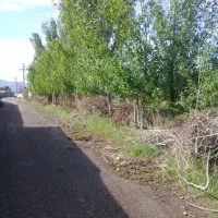 فروش باغ در روستای بیجق