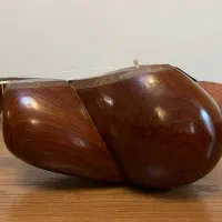 تار قدیمی|سازهای سنتی|تهران, شهرک غزالی|دیوار