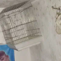 دو عدد قفس بزرگ پرنده