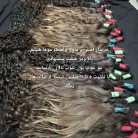 مکان فروش مو طبیعی کد ۹۰۰۷۶
