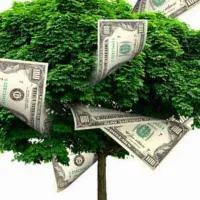 نیازمند سرمایه