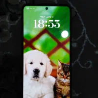 گوشی شیایومی نوت 11 درحدنو