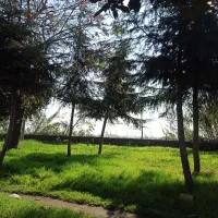 راهنمایی داوطلبانه