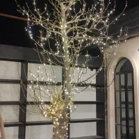 تولید واجرای ریسه LED12vبا یکسال ضمانت|ریسه و چراغ تزئینی|تهران, زعفرانیه|دیوار