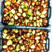 فروش عناب گلابی|خوردنی و آشامیدنی|تهران, فلسطین (میدان انقلاب)|دیوار