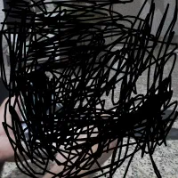 خروسی گمشده