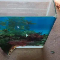 اکواریوم|ماهی|قوچان, |دیوار