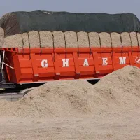 کاه نیشکر باگاس|عمده‌فروشی|دزفول, |دیوار