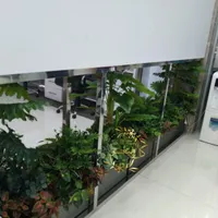 آگاو ابلق(اجرا کننده بوته برگ برای باکس)|گل مصنوعی|تهران, بازار|دیوار
