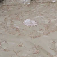روتختی سالم