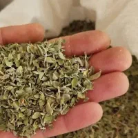 فروش عمده گیاهان دارویی