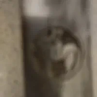 فروش شمشیر عتیقه|کلکسیون اشیاء عتیقه|تهران, شهران شمالی|دیوار