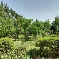 باغ ویلا ۱۲۰۰ متری سه خواب شهرک خانه تهران