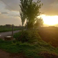 اجاره گاوداری ۲۰۰راسی