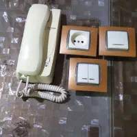 گل طبیعی|گل و گیاه طبیعی|محمدیه-قزوین, |دیوار