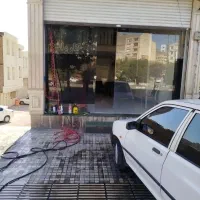 نیروی کار در کارواش