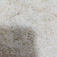 برنج طارم هاشمی