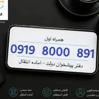 0919-8000-891
