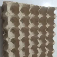 شانه تخم مرغ و کارتن تخم مرغ در حد نو|عمدهفروشی|مشهد, امیریه|دیوار