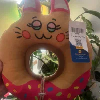 پت شاپ|لوازم جانبی حیوانات|رشت, گلسار|دیوار