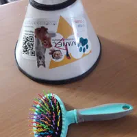 وسایل سگ|لوازم جانبی حیوانات|اصفهان, ملک‌شهر|دیوار