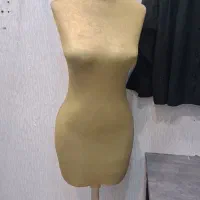 مانکن  سوزن خور