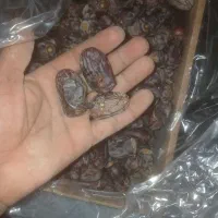 فروش خرما کلوته|عمدهفروشی|چاه مرید, |دیوار