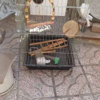 قفس پرنده سالم