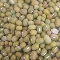 ماشک دونه درشت
