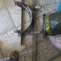 سلام یک جفت پرنده دو تارادیون ویک کپسول ویک|پرنده|مشهد, تبادکان|دیوار