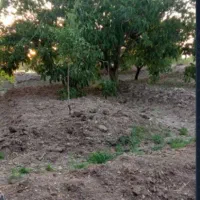 باغ
