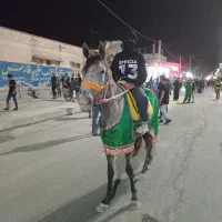 اسب عرب