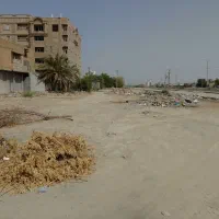 فروش ۲ قطعه زمین فاز ۱ بلوار الائمه کنار هم|فروش زمین و ملک کلنگی|بندر ماهشهر, |دیوار