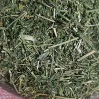 یونجه سحاله سبوس کاه دانه پرنده گندم
