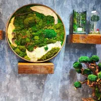 تابلو .درخت و درختچه جاودان|صنایع دستی و سایر لوازم تزئینی|اهواز, فرهنگ شهر|دیوار