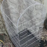 قفس کاسکویی نو نو