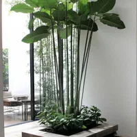 طراحی و اجرای باغ و فضای سبز|گل و گیاه طبیعی|کرج, جهان‌شهر|دیوار