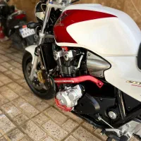 ۱۳۰۰ در حد خشک