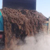 کود گاوی پوسیده نرم خشک