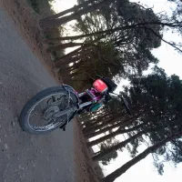 موتور 125 مزایده ای|موتورسیکلت|زرندیه, |دیوار