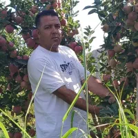 باغبانی مهندس قربانی