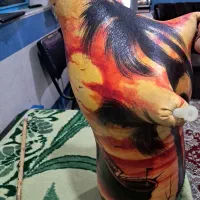 پوست نی انبان