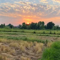 زمین-زراعی-کشاورزی
