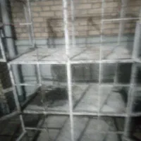 جفت کن کبوتر|لوازم جانبی حیوانات|کرمان, |دیوار