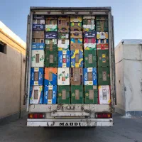 کارتن موزی یا موز|عمدهفروشی|اردبیل, |دیوار