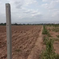 فروش زمین کشاورزی