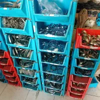 قفسه|حراج|چابهار, |دیوار